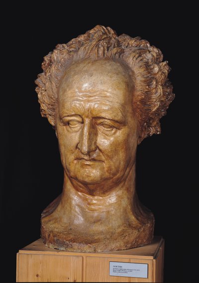 Bust of Johann Wolfgang von Goethe by Pierre Jean David d